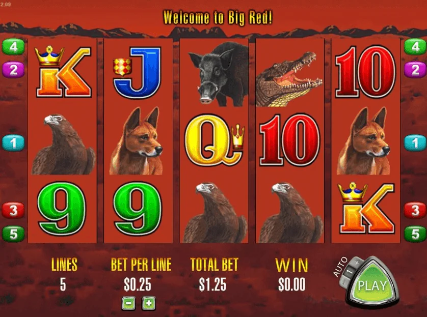 Betting at Big Red game